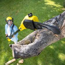 Best Weed Control  in Macclenny, FL